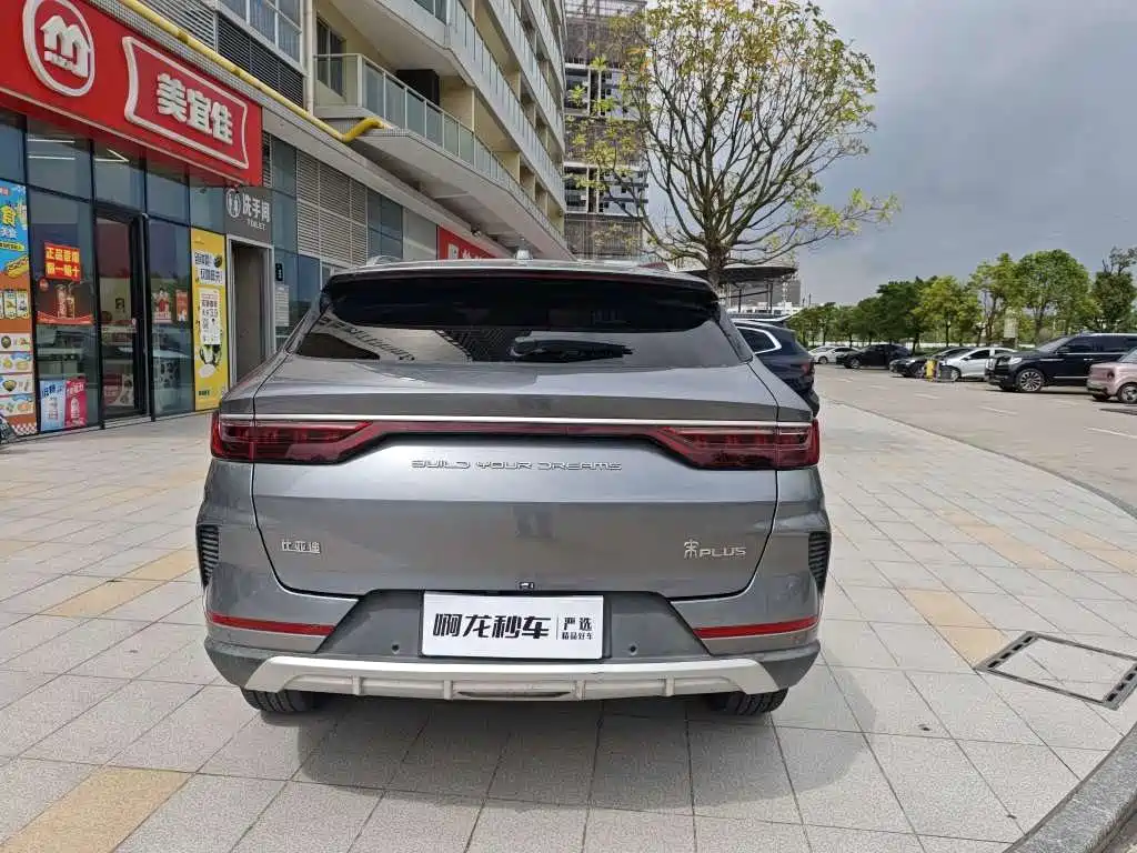 BYD PLUS — миниатюра 4