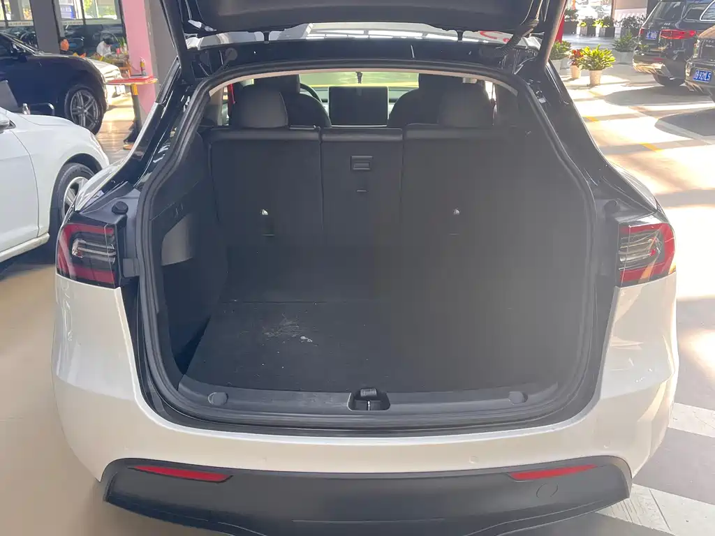 Tesla Model Y — миниатюра 10