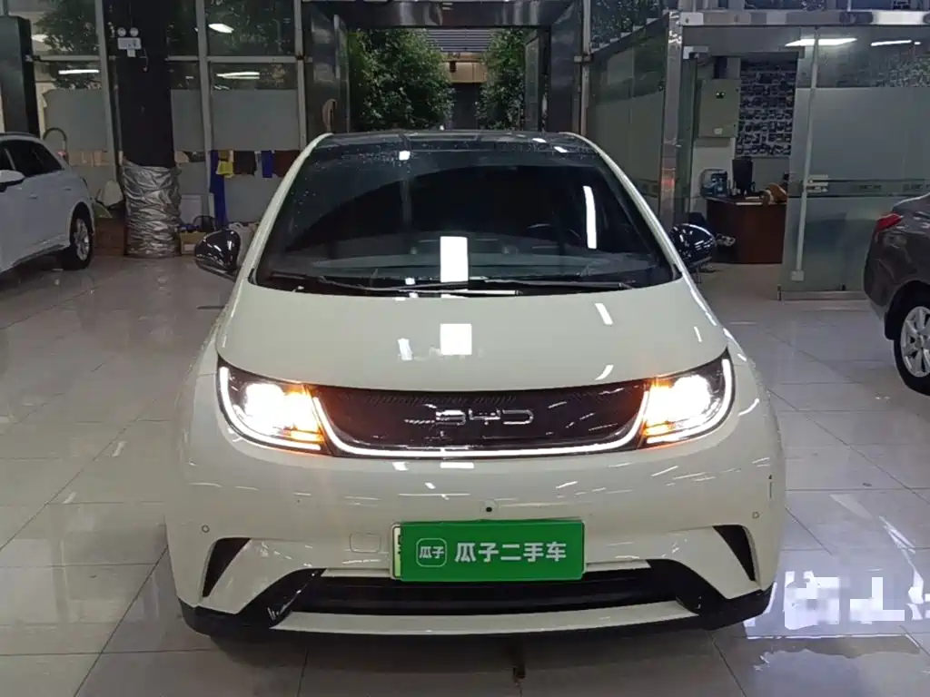 BYD Dolphin — миниатюра 3