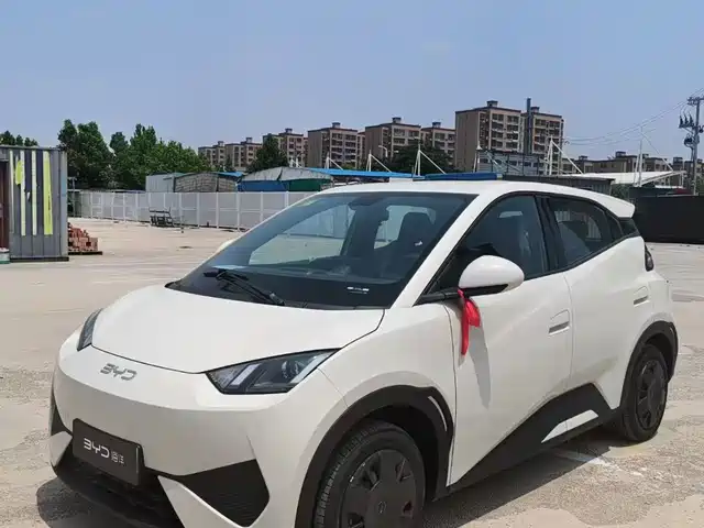 2026 BYD Seagull