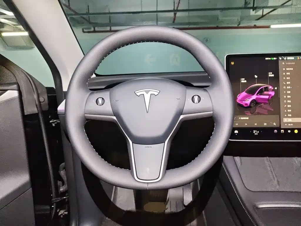 Tesla Model Y — миниатюра 11