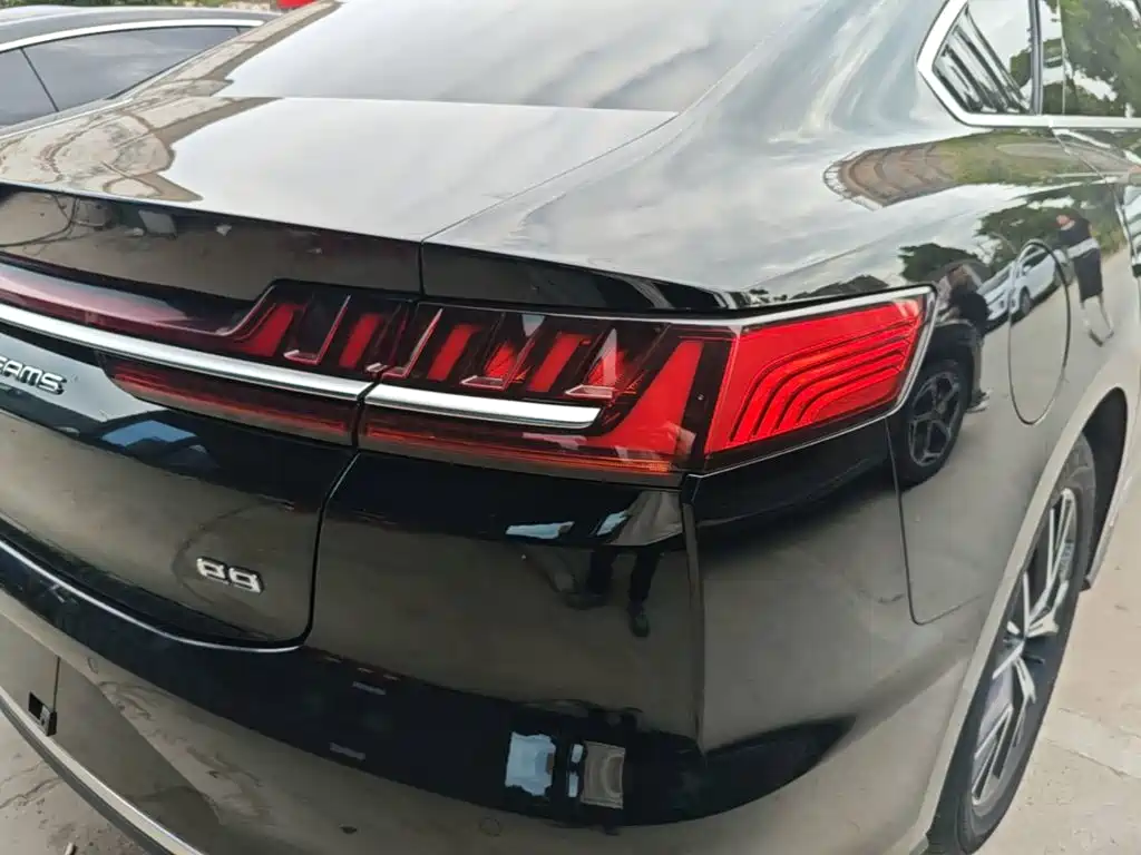 BYD e9 — миниатюра 8