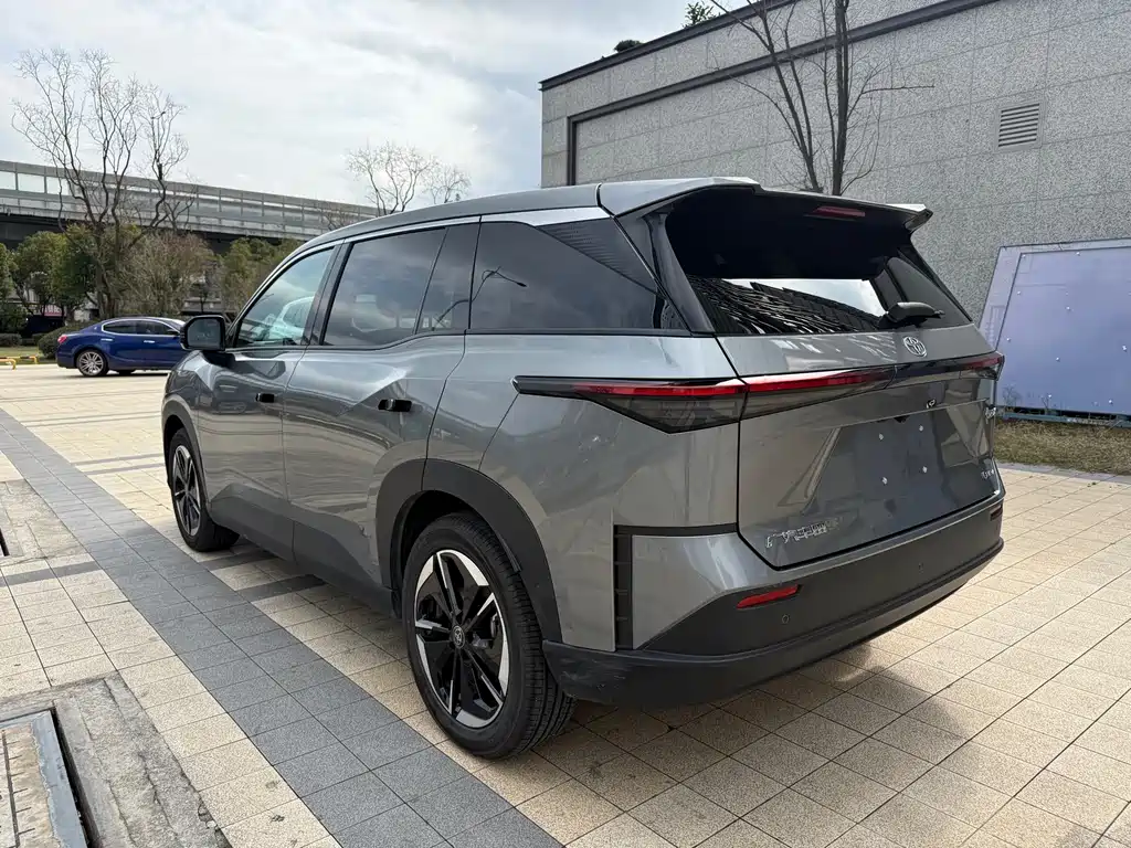 TOYOTA PLATINUM WISDOM 3X