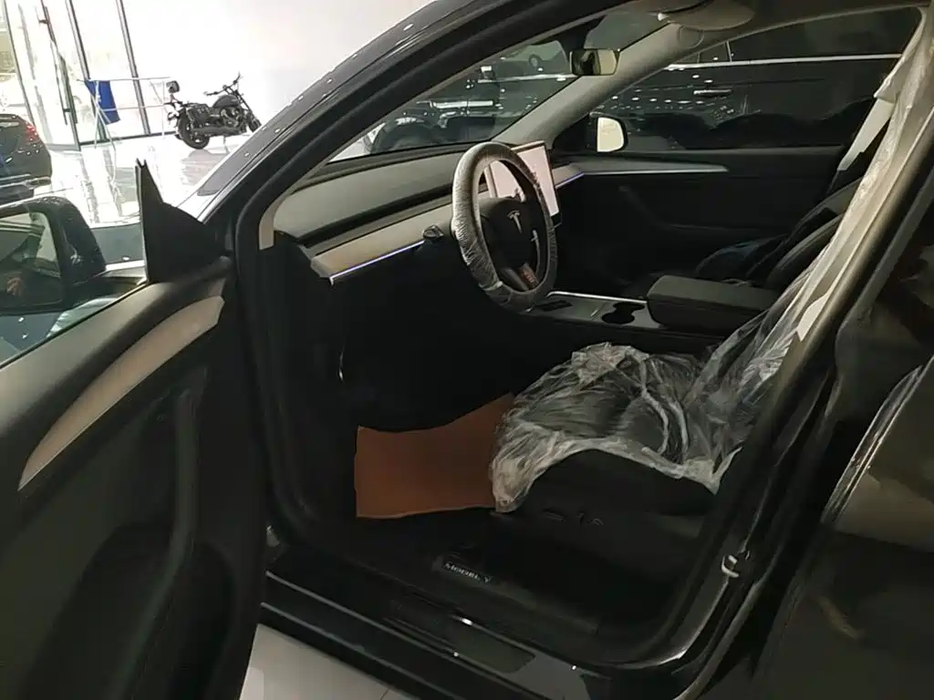Tesla Model Y — миниатюра 16