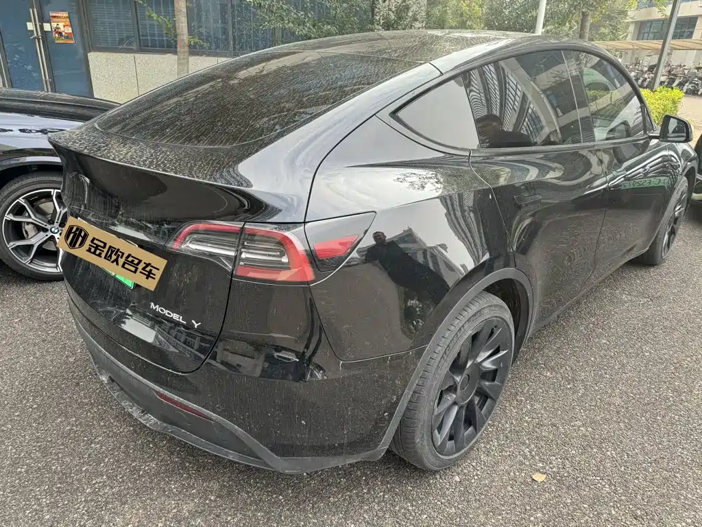 Tesla Model Y — миниатюра 4
