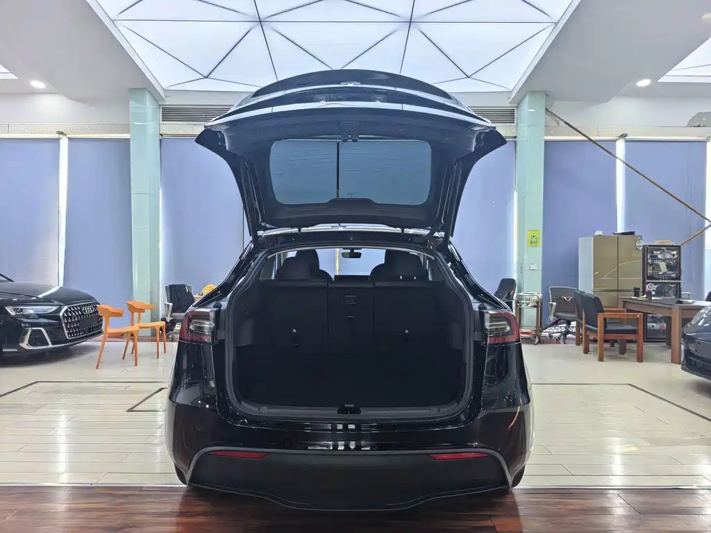 Tesla Model Y — миниатюра 12