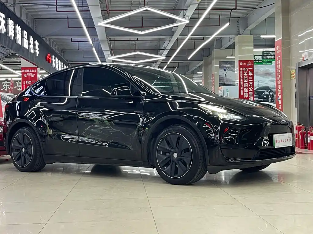 Tesla Model Y — миниатюра 2
