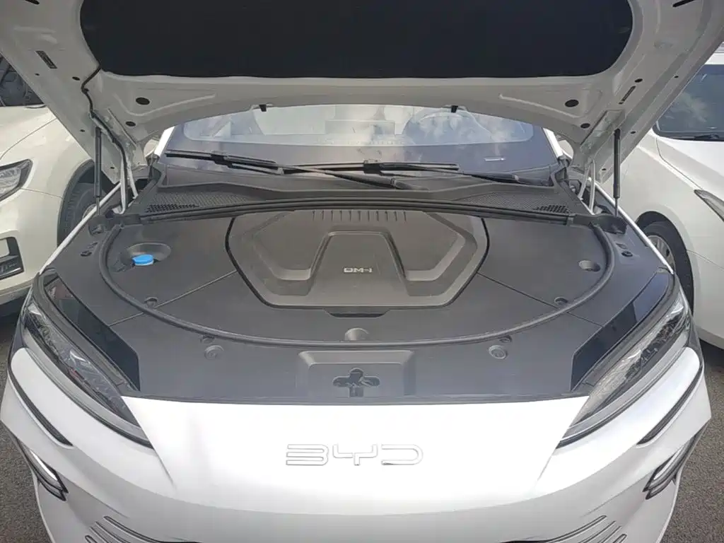 BYD PLUS New Energy — миниатюра 20