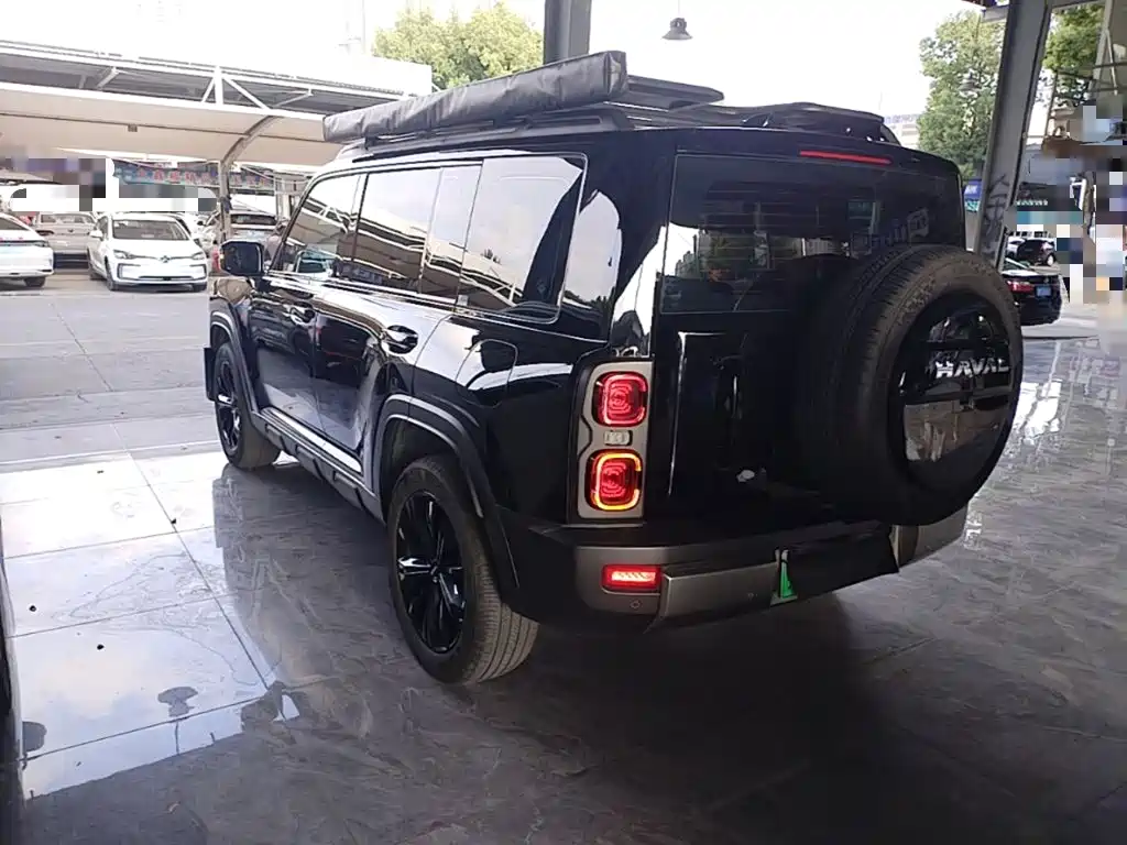 Haval Menglong New Energy — миниатюра 5