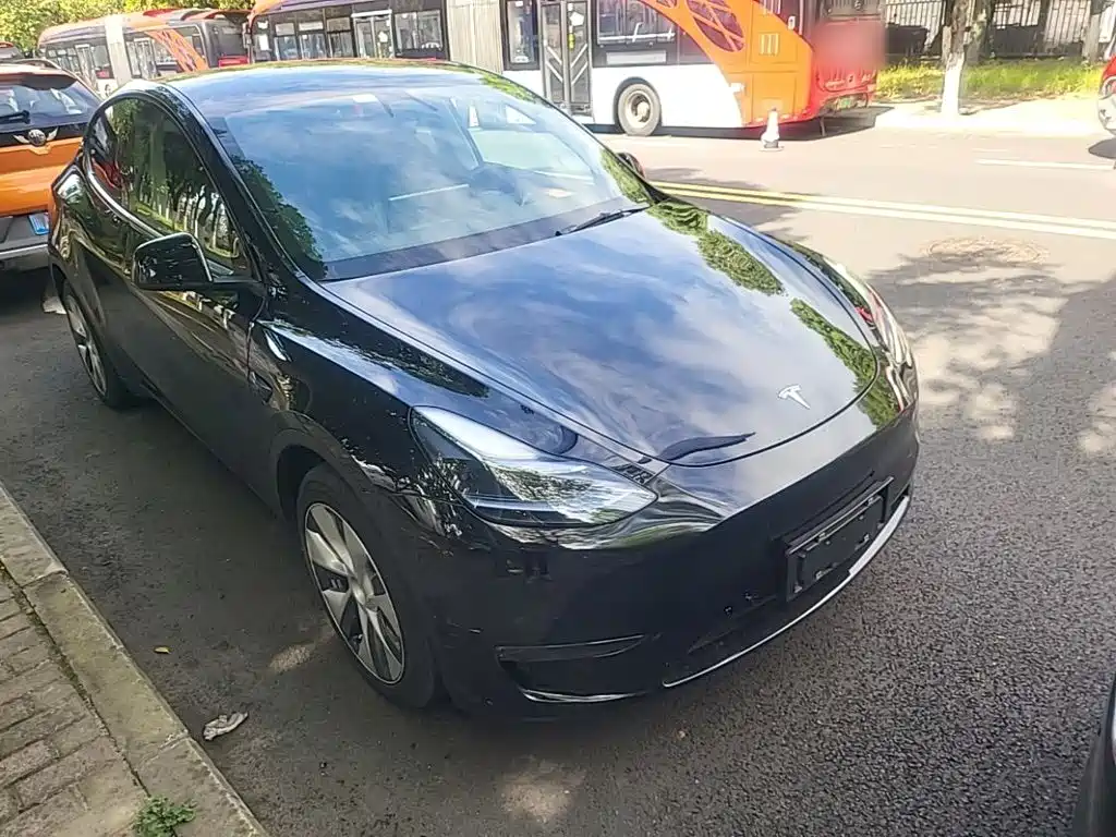 Tesla Model Y — миниатюра 4
