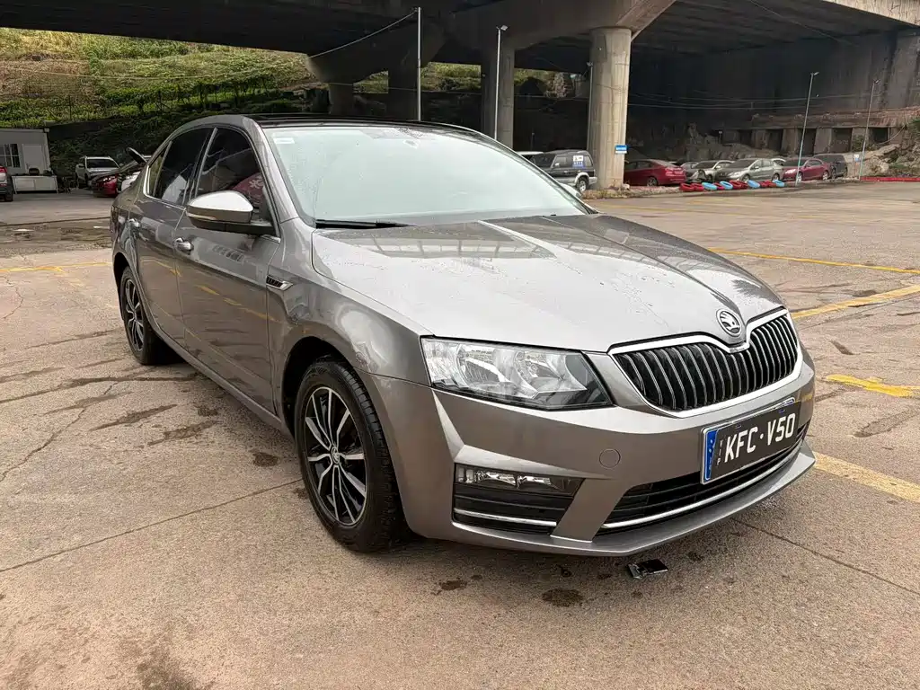 Skoda Octavia — миниатюра 3