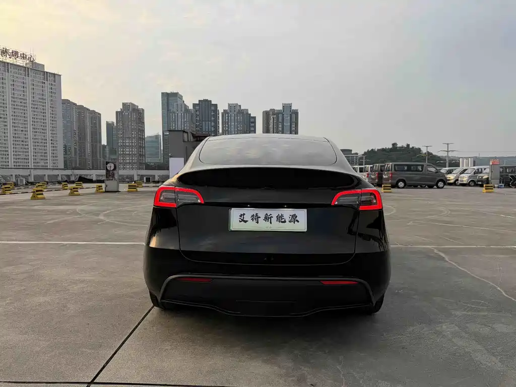Tesla Model Y — миниатюра 5