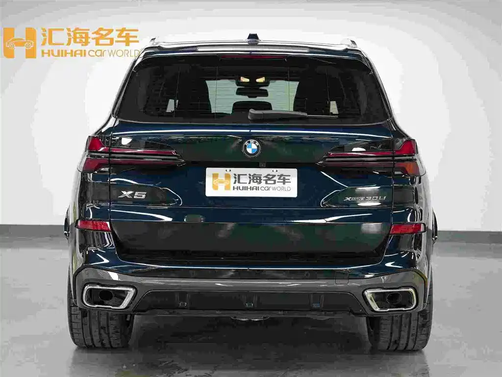 BMW X5 — миниатюра 5
