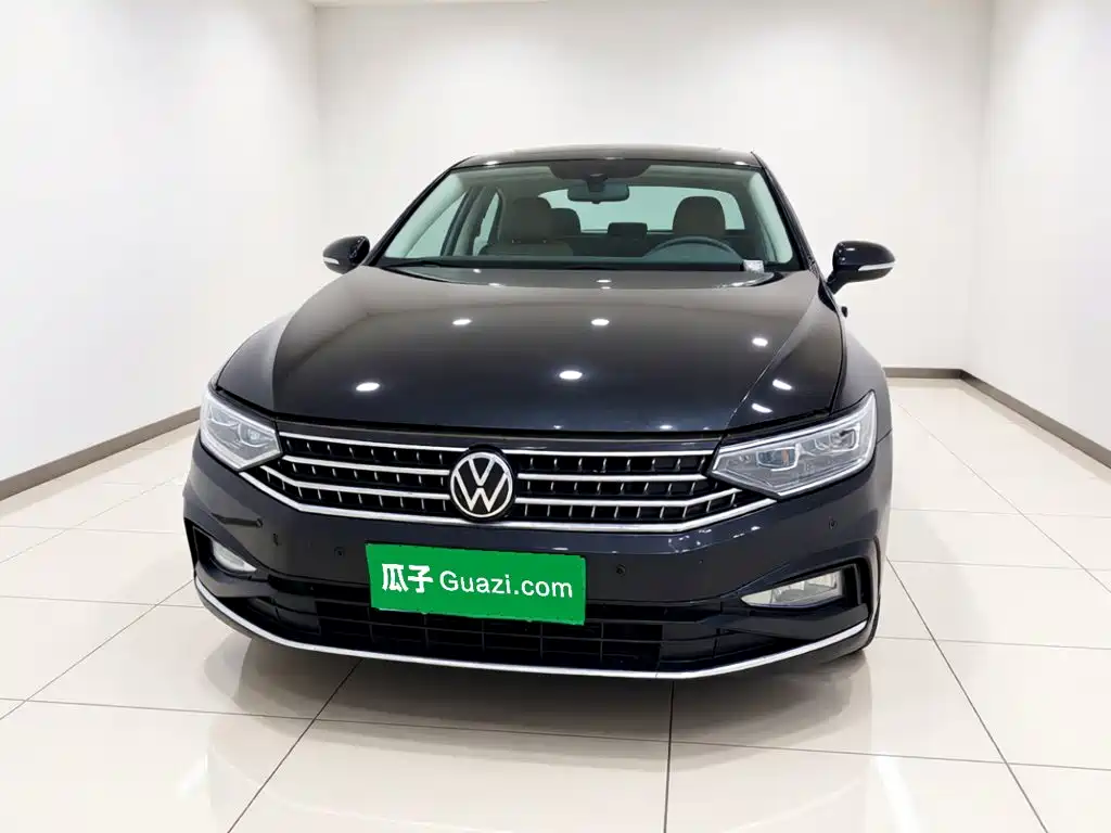 Volkswagen Magotan — миниатюра 2