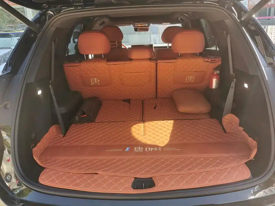 BYD Дон Л. — миниатюра 4