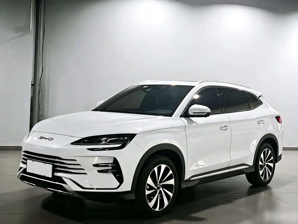 Byd PLUS New Energy 2024