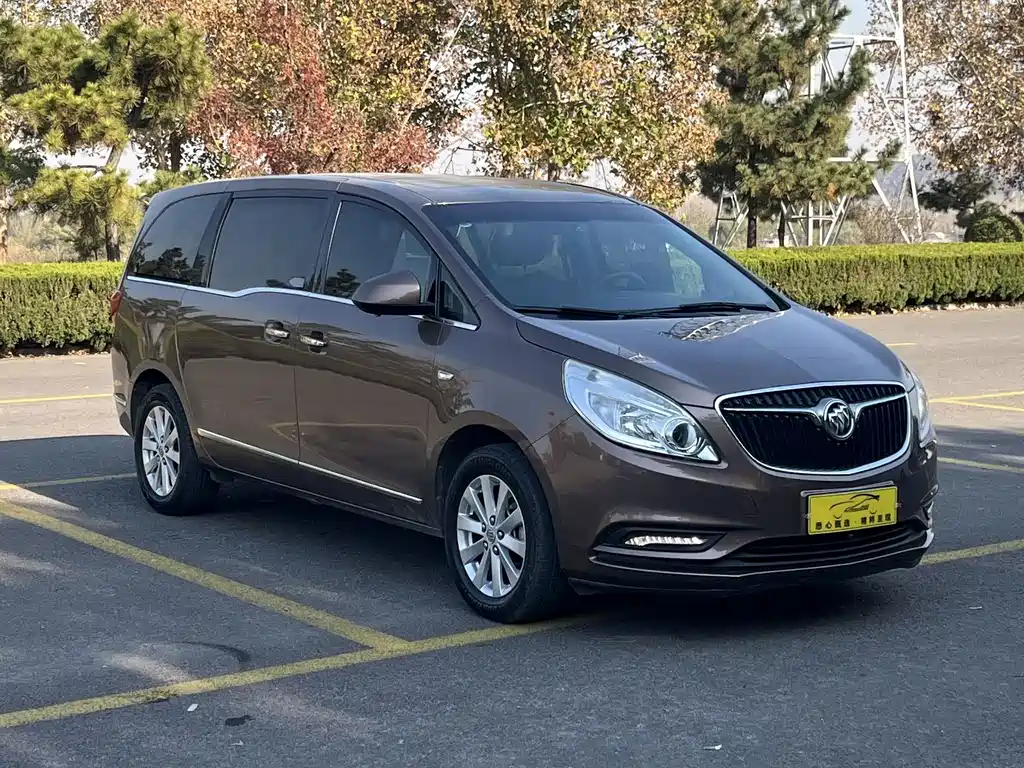 Buick GL8 — миниатюра 3