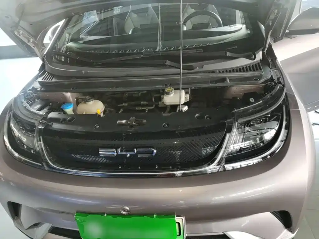 BYD Dolphin — миниатюра 20