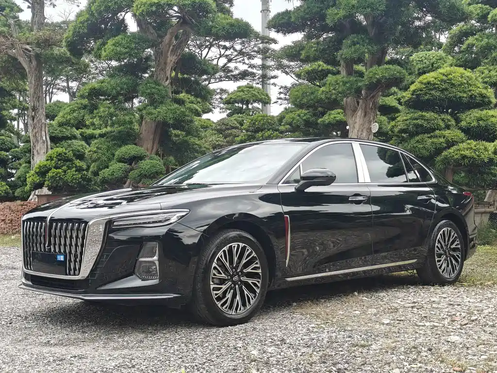 Hongqi Hongqi H5 2024