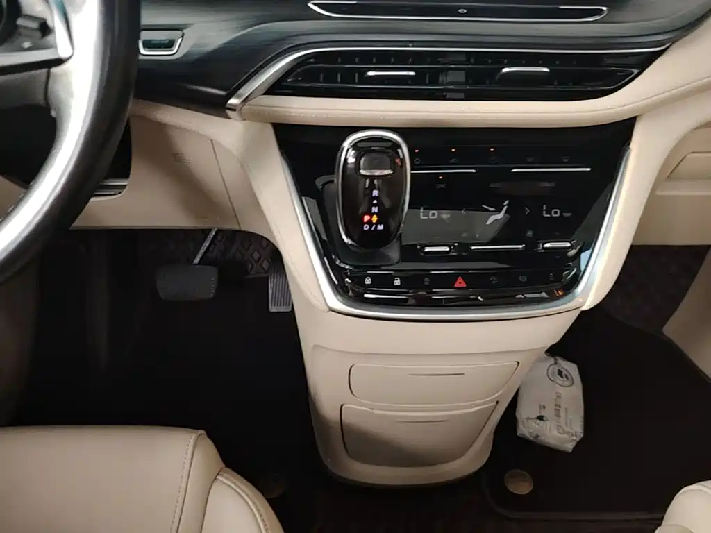 Buick GL8 — миниатюра 14
