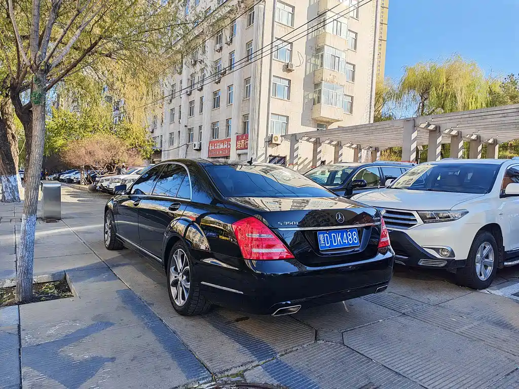 Mercedes-Benz S-Class S 2010 S 300 L Luxury