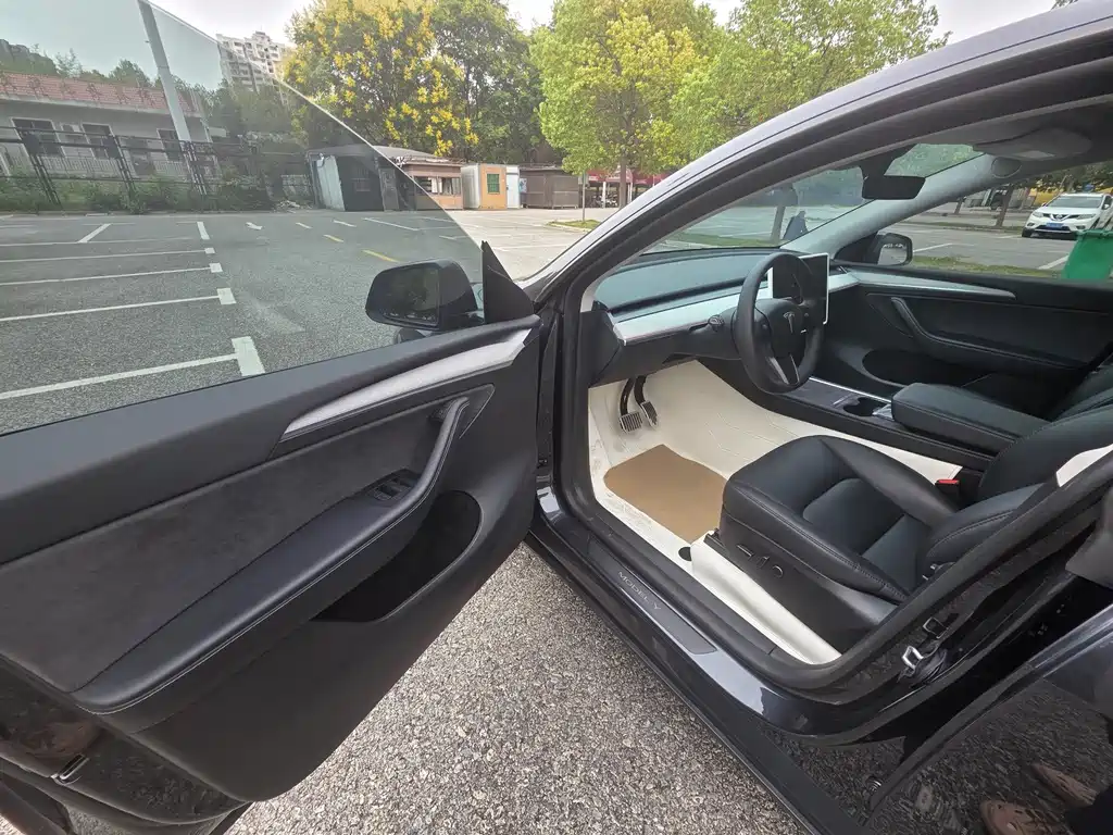 Tesla Model Y — миниатюра 9