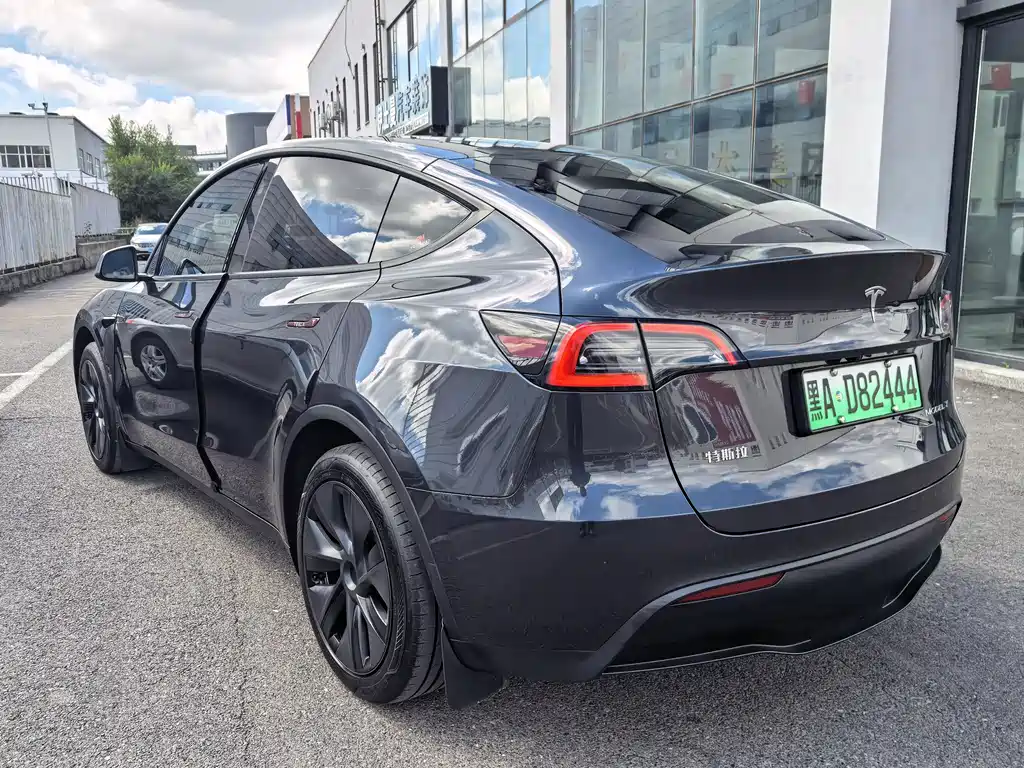 Tesla Model Y — миниатюра 6