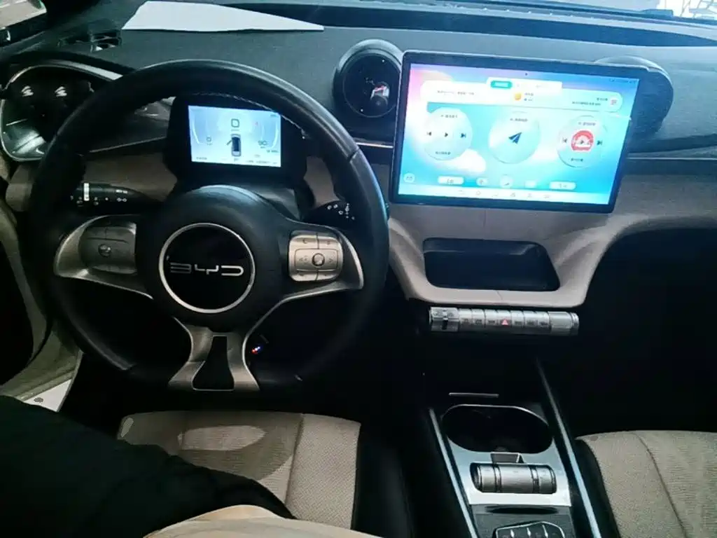 BYD Dolphin — миниатюра 10