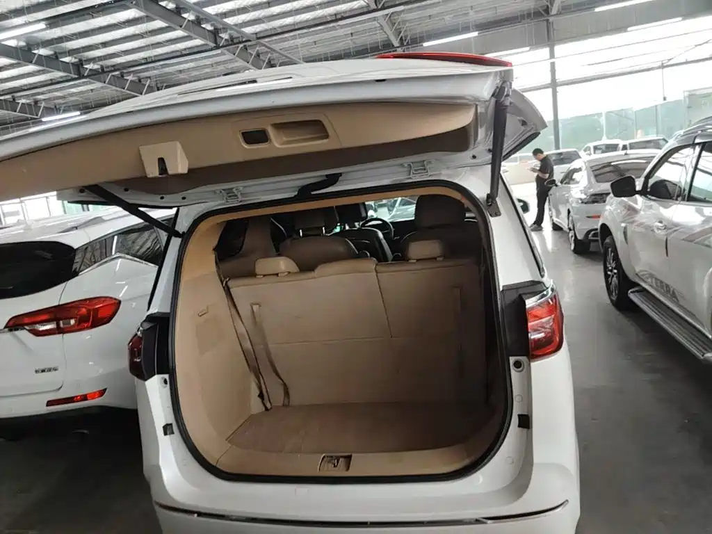 Buick GL8 — миниатюра 19