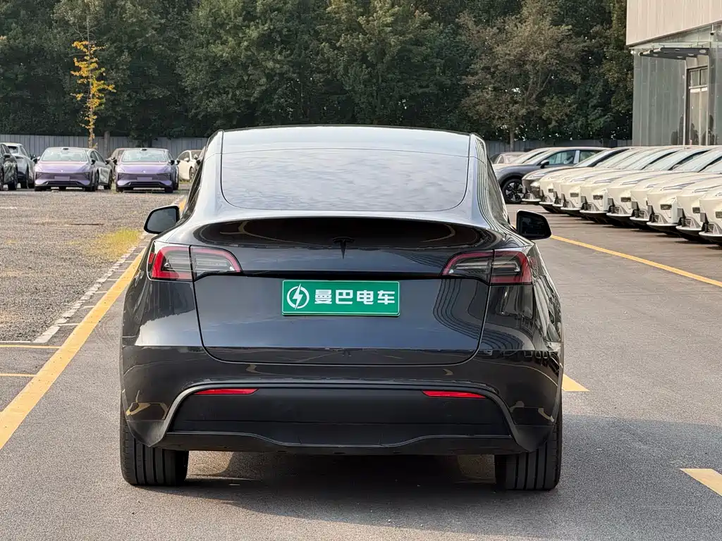 Tesla Model Y — миниатюра 6