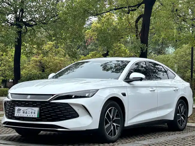 BYD QIN L 2025