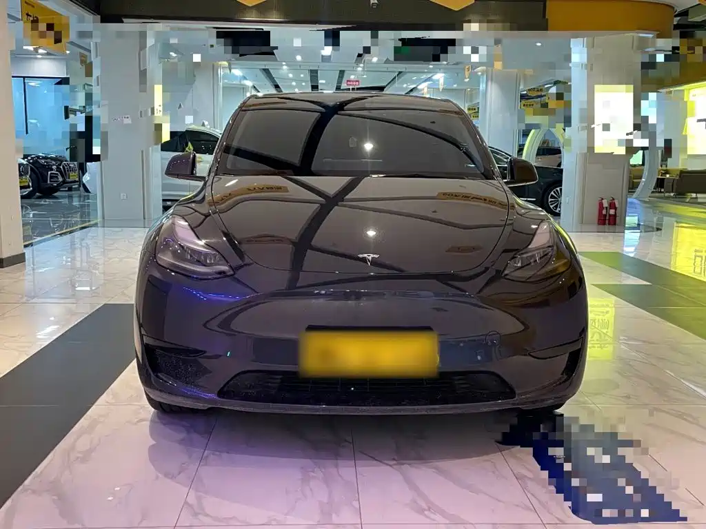 Tesla Model Y — миниатюра 3