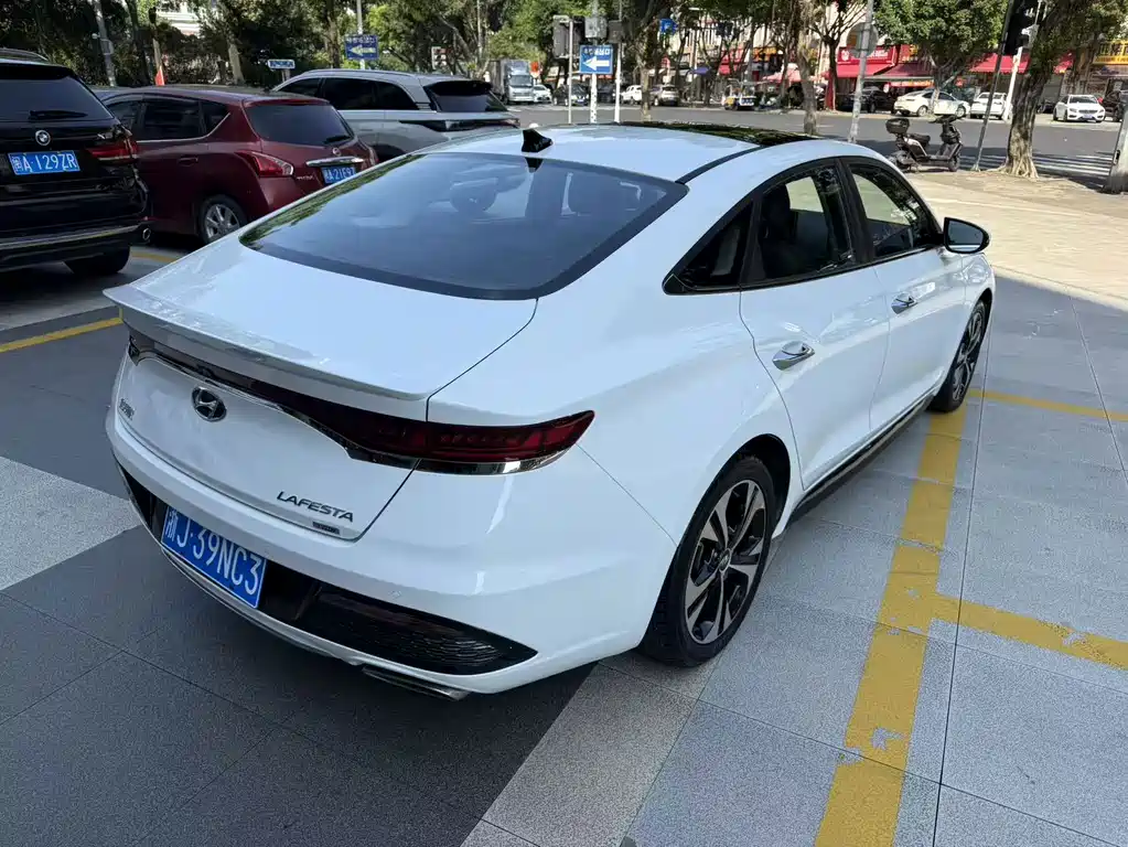 Hyundai Fista — миниатюра 6