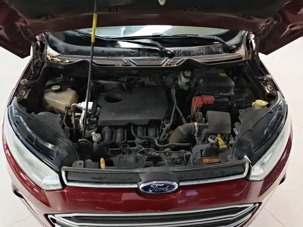 Ford Ecosport — миниатюра 20