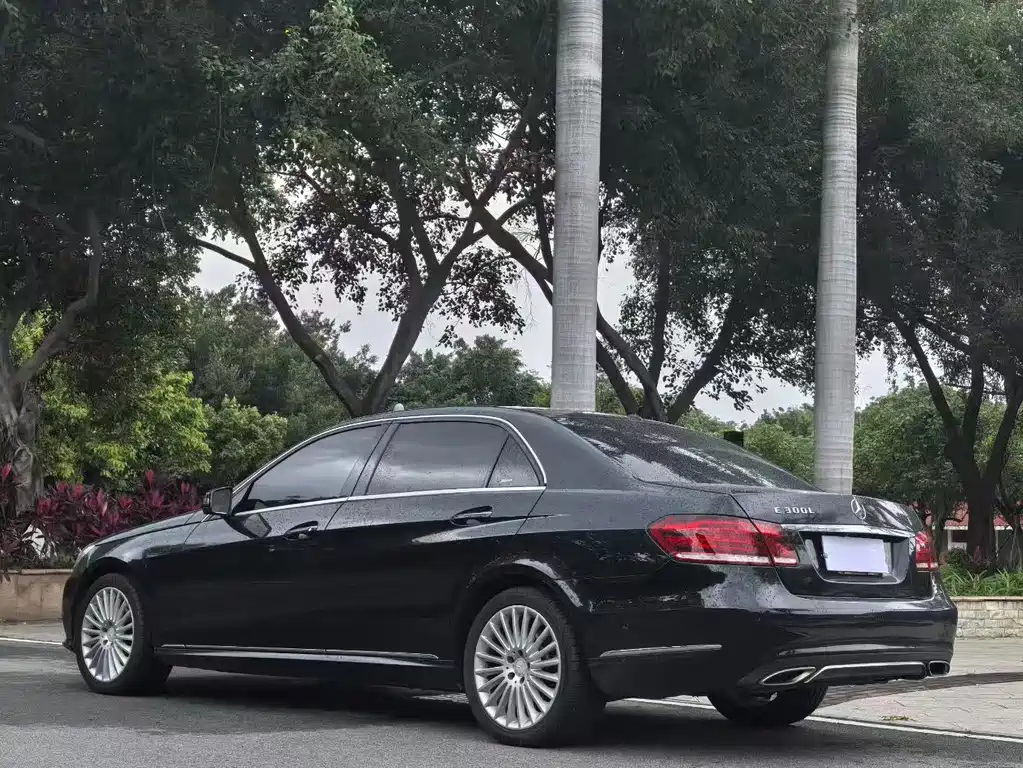 Mercedes-Benz E-Class E 2014 E 300 L