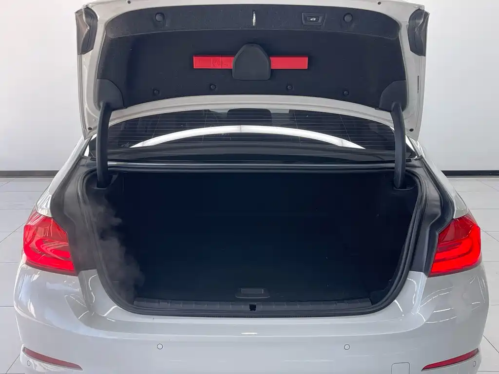 BMW 5 SERIES NEW ENERGY