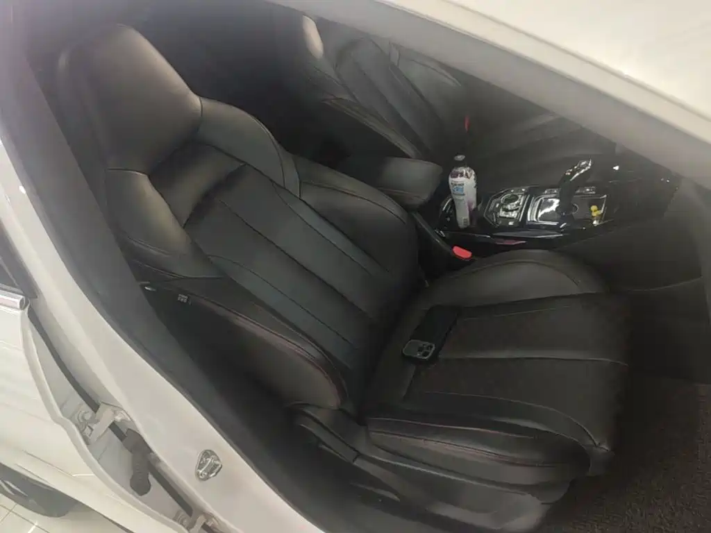Haima Haima 8S — миниатюра 25