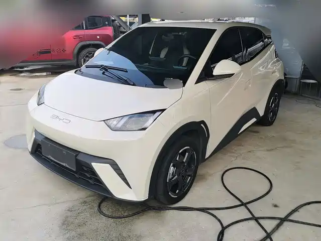 2023 BYD Seagull