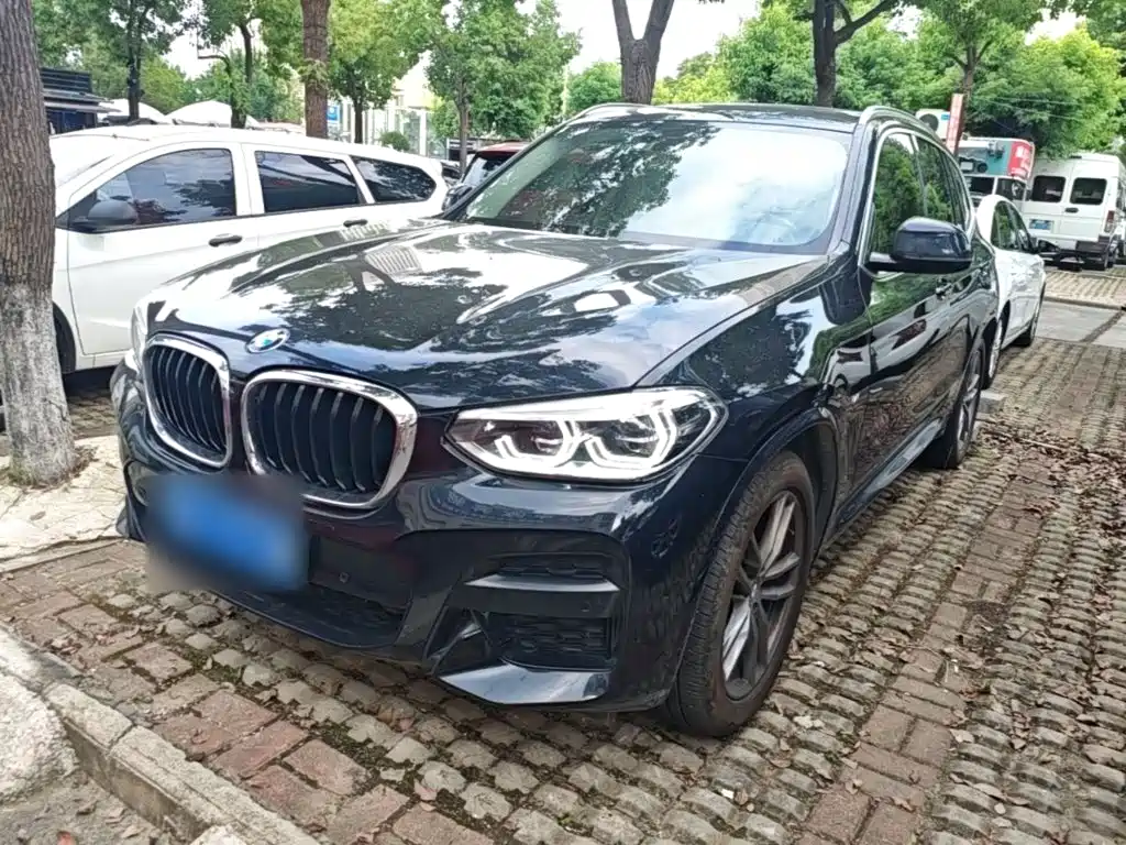 BMW X3 — миниатюра 2