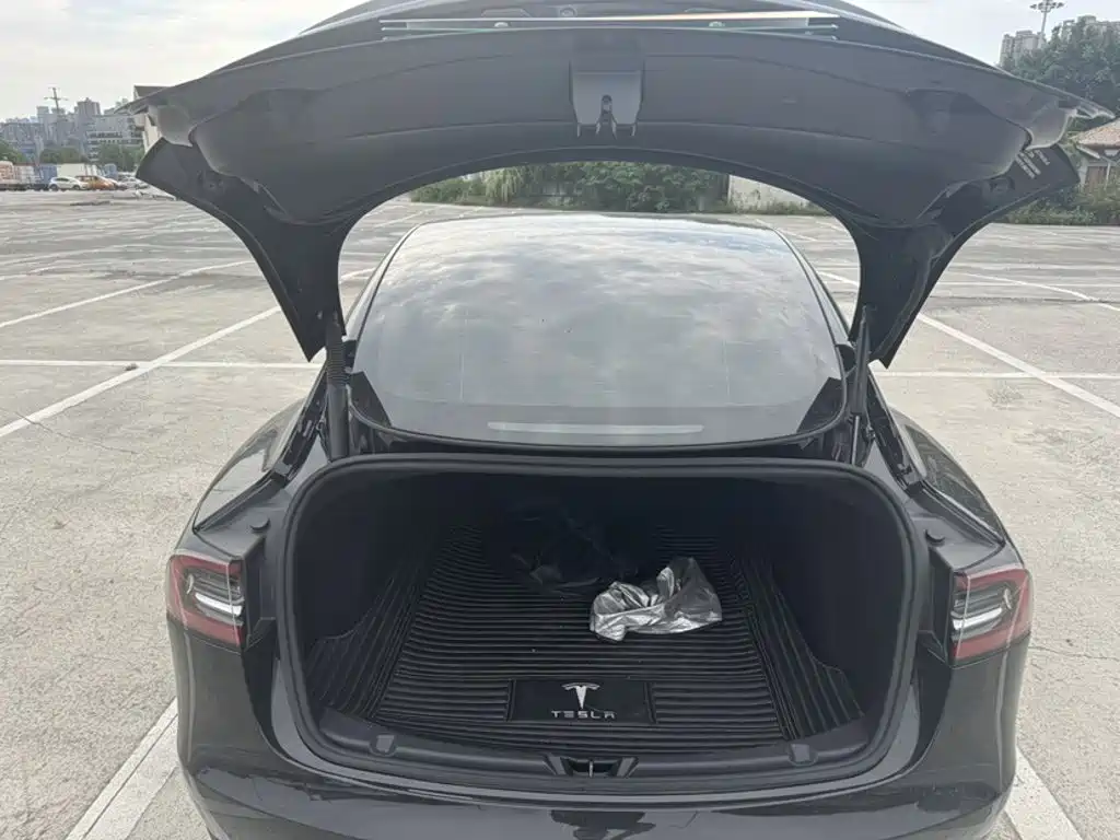 Tesla Model 3 — миниатюра 10
