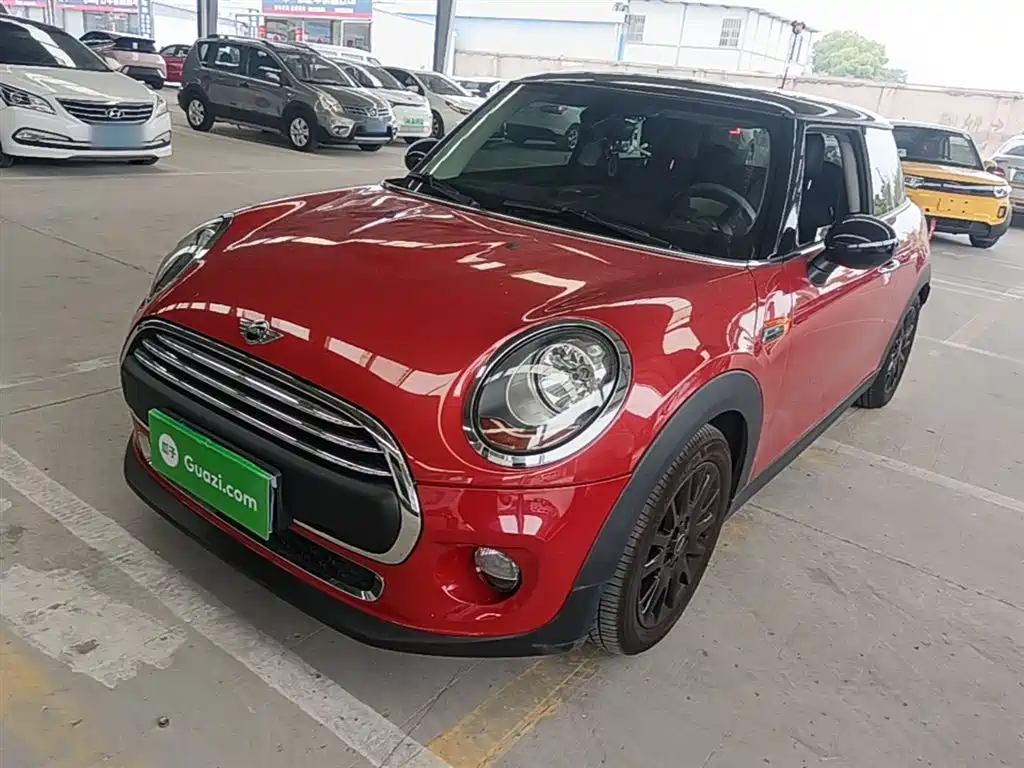 Mini Mini 2017