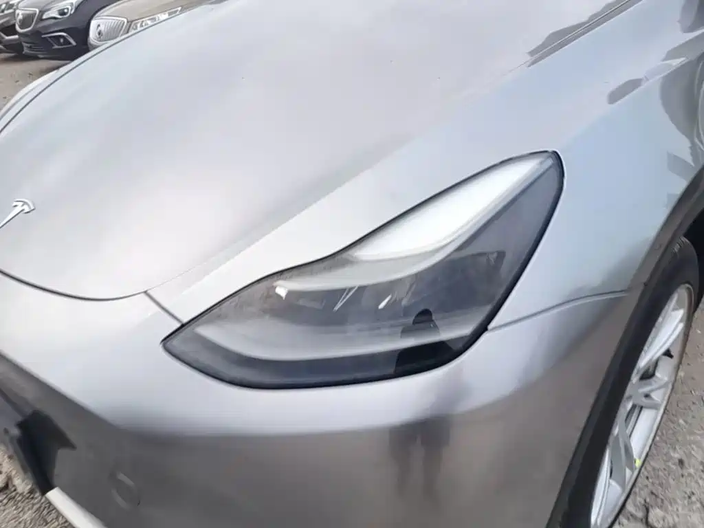Tesla Model Y — миниатюра 24