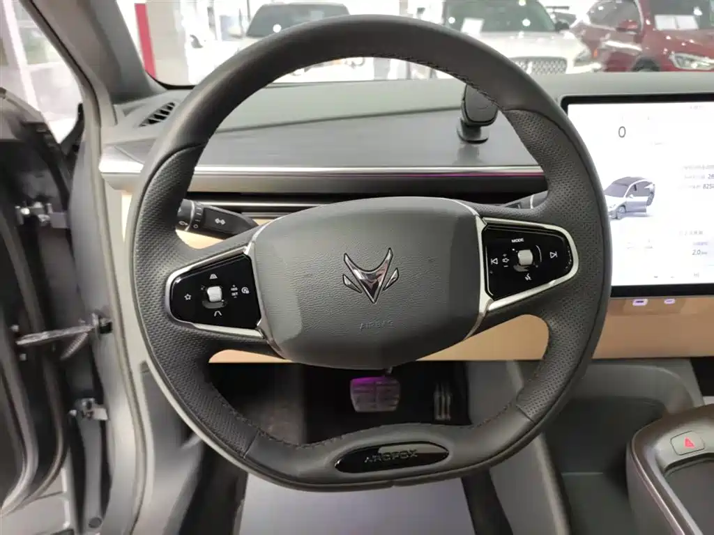 ARCFOX EXTREME FOX POLAR FOX ALPHA T5