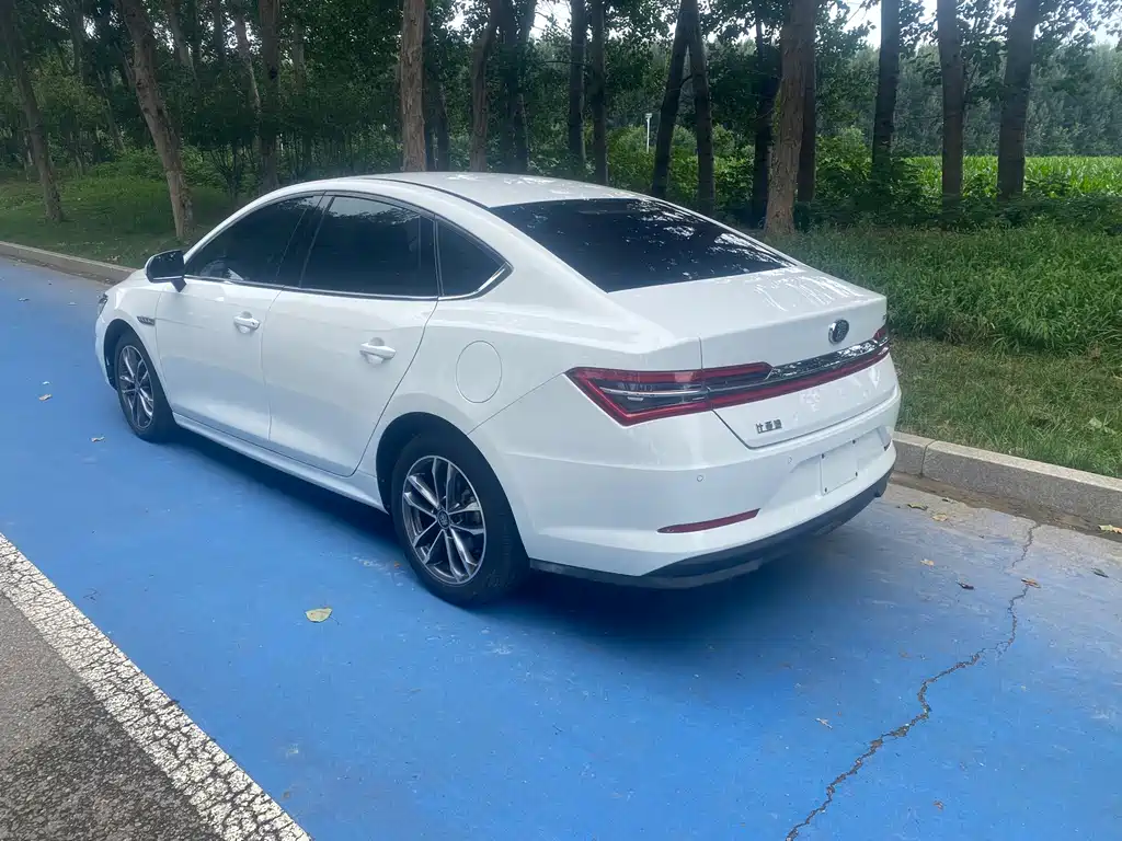 BYD Qin Pro — миниатюра 5