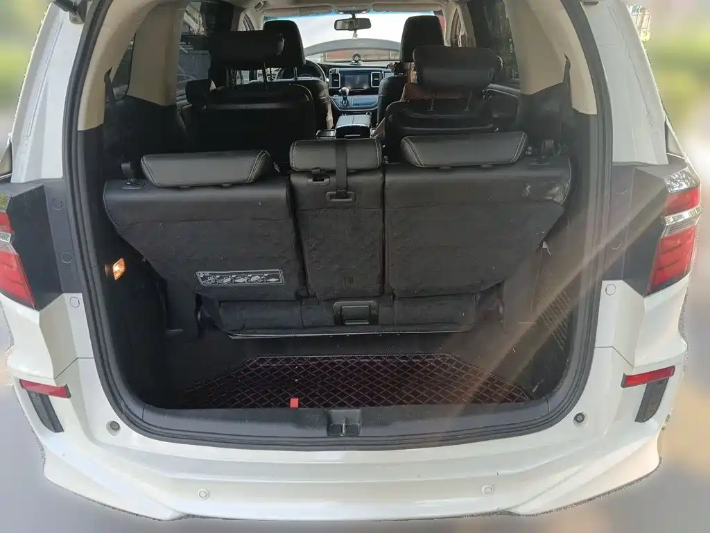 Honda Elysion — миниатюра 15