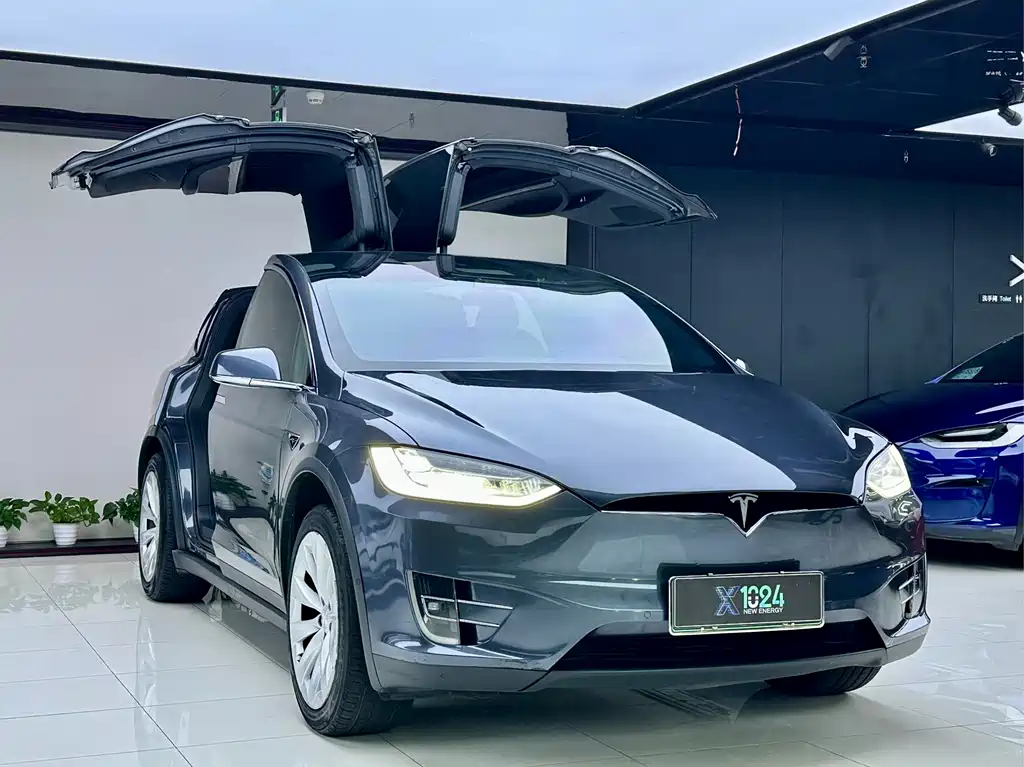 Tesla Model X — миниатюра 3