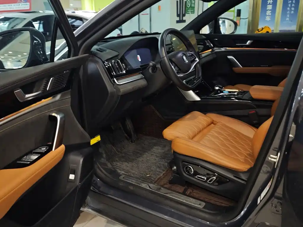 BYD Tang New Energy — миниатюра 6