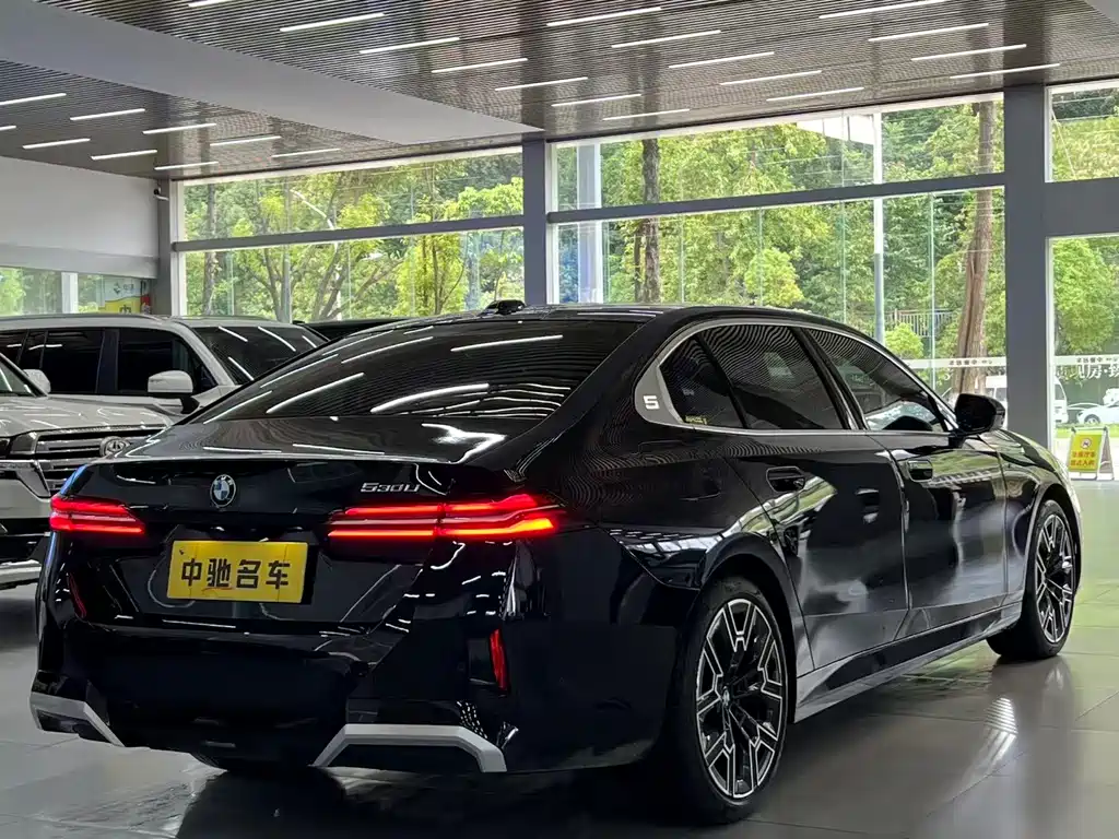 BMW 5 Series — миниатюра 5