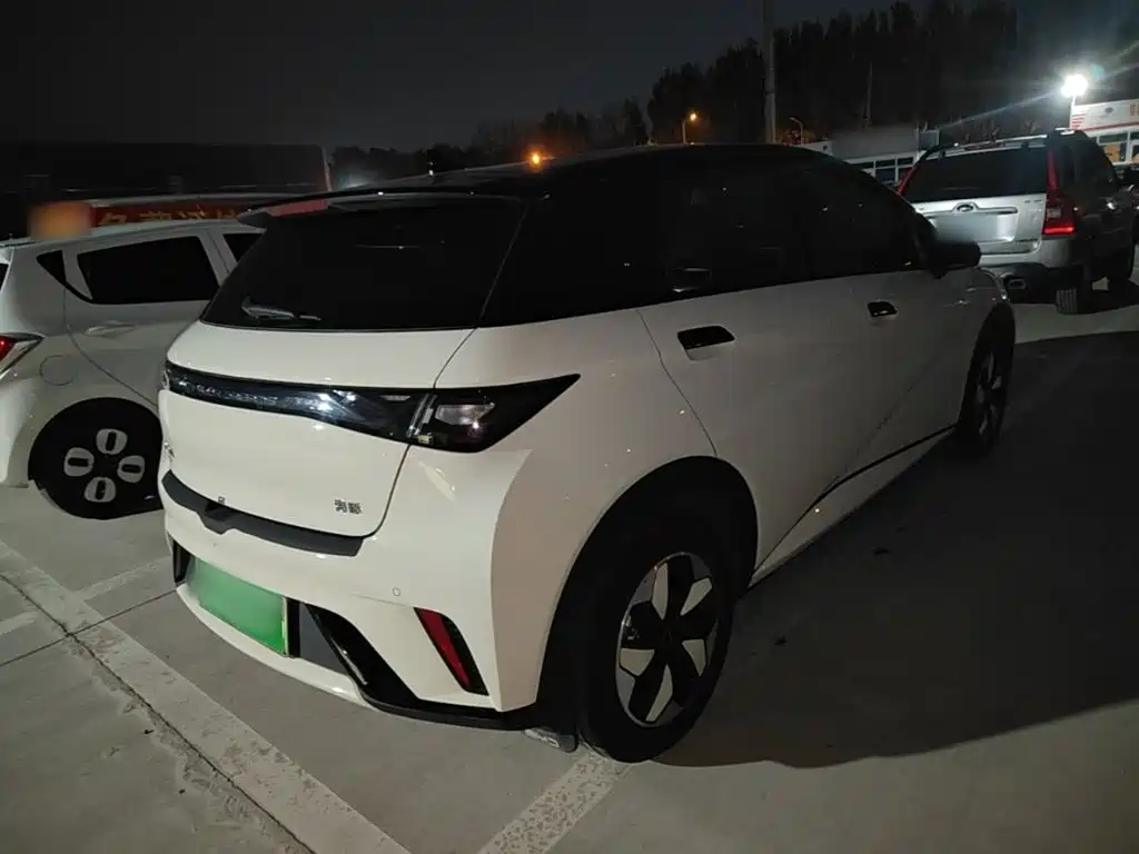 BYD Dolphin — миниатюра 7