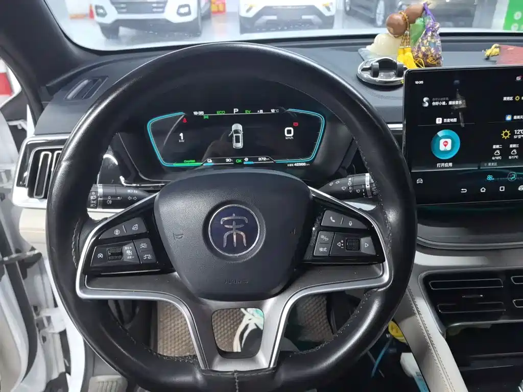 BYD PLUS New Energy — миниатюра 8
